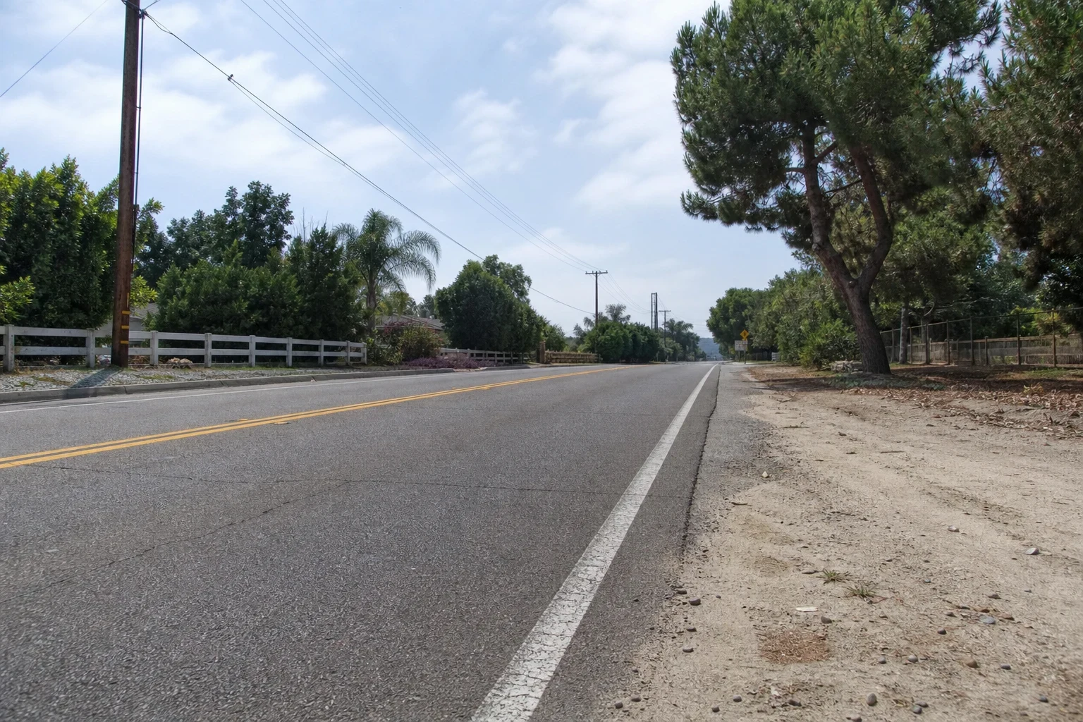 Quiet two-lane road with a double yellow line, dirt shoulder, white rail fence, palm and pine trees, and utility poles under a high-cloud sky